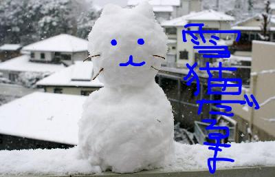 雪猫だるま