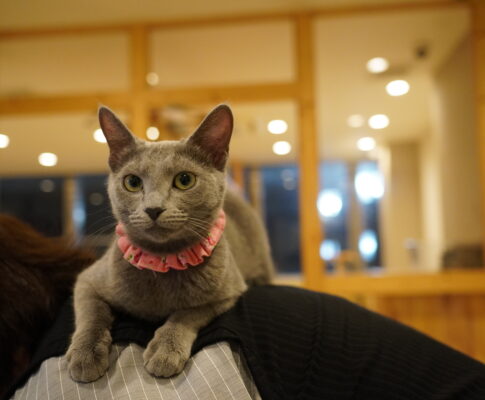 ローズ