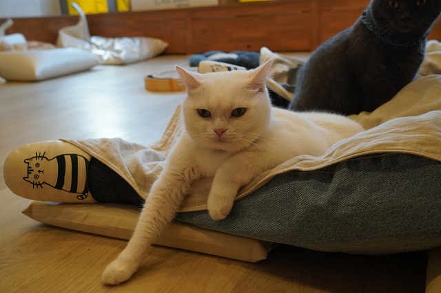 まだまだこんなもんじゃない