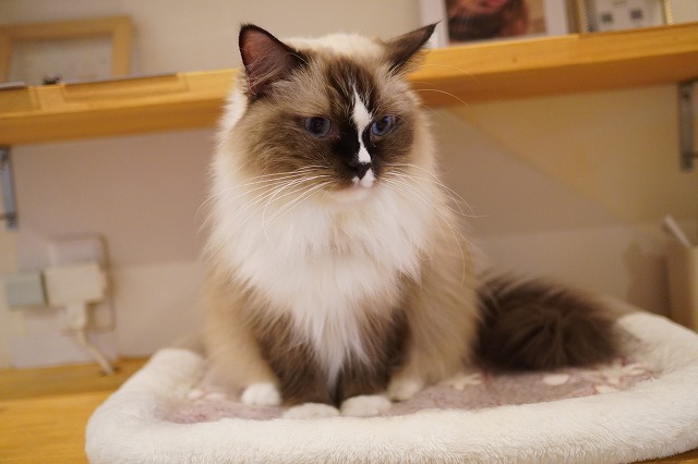 遊ぶちまきちゃん