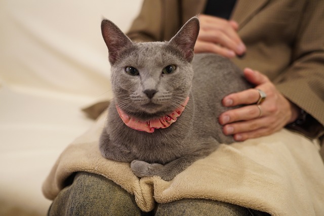 おひざ乗りローズちゃん