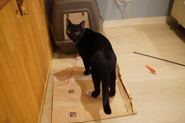 うろうろうにくん