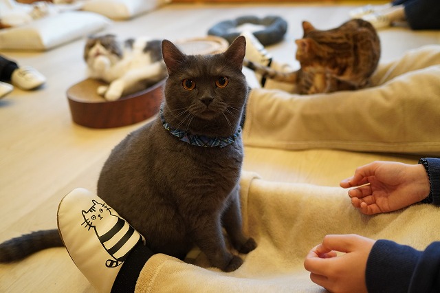 トリュフくん４才