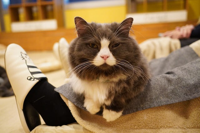 ララララムネくん