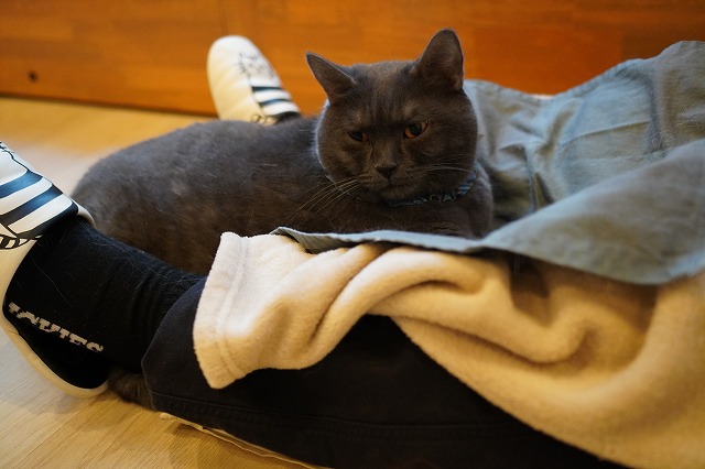 乗るトリュフくん