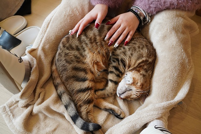 乗り乗り金時くん