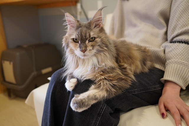 実は紐好きジャスミンちゃん