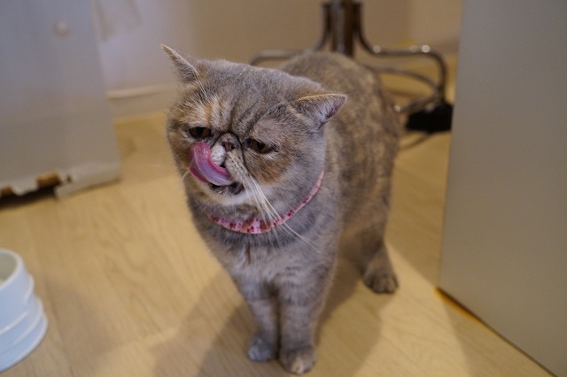 ぺろりつくしちゃん