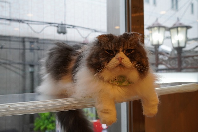 のんびりミントくん