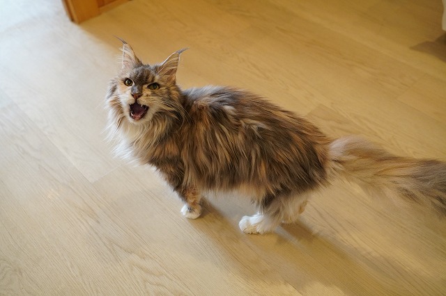 休憩室に帰りたい理由は？