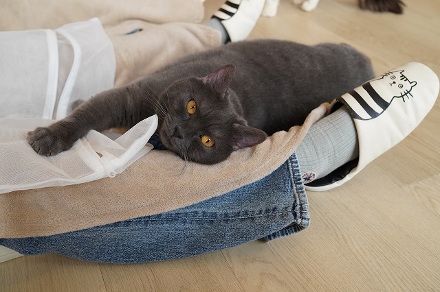 マッサージを求めるトリュフくん