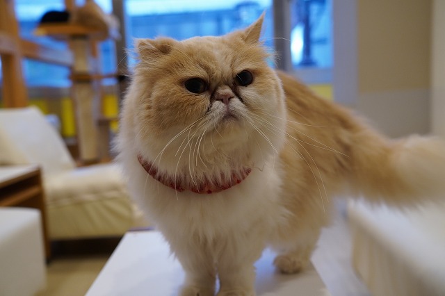 もぐるもなかちゃん